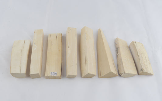 White mammoth ivory pieces