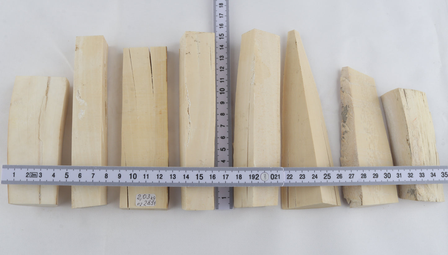 White mammoth ivory pieces