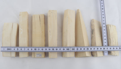 White mammoth ivory pieces