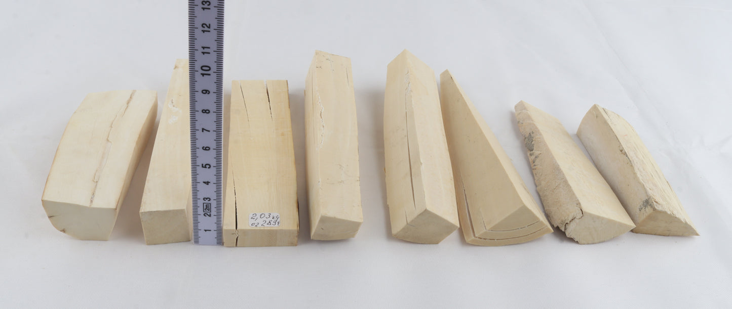 White mammoth ivory pieces