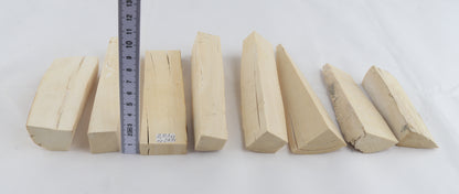 White mammoth ivory pieces