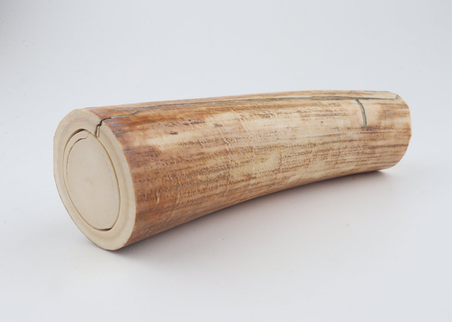 Round woolly mammoth tusk piece