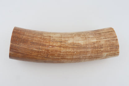 Round woolly mammoth tusk piece