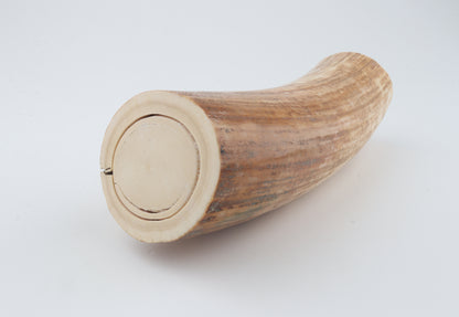 Round woolly mammoth tusk piece