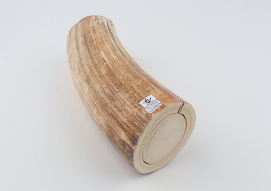 Round woolly mammoth tusk piece