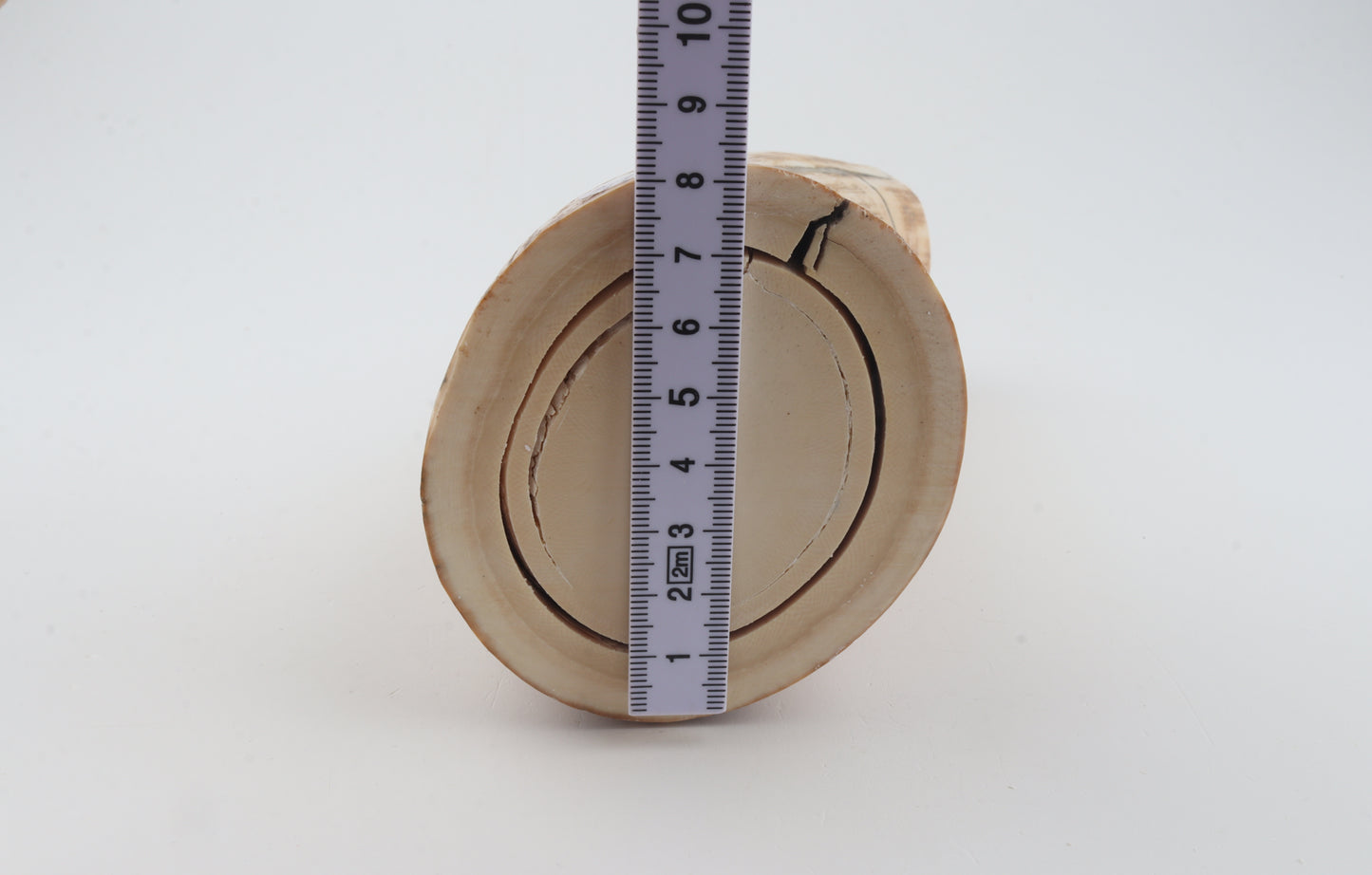 Round woolly mammoth tusk piece