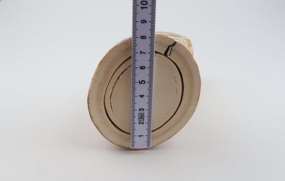 Round woolly mammoth tusk piece