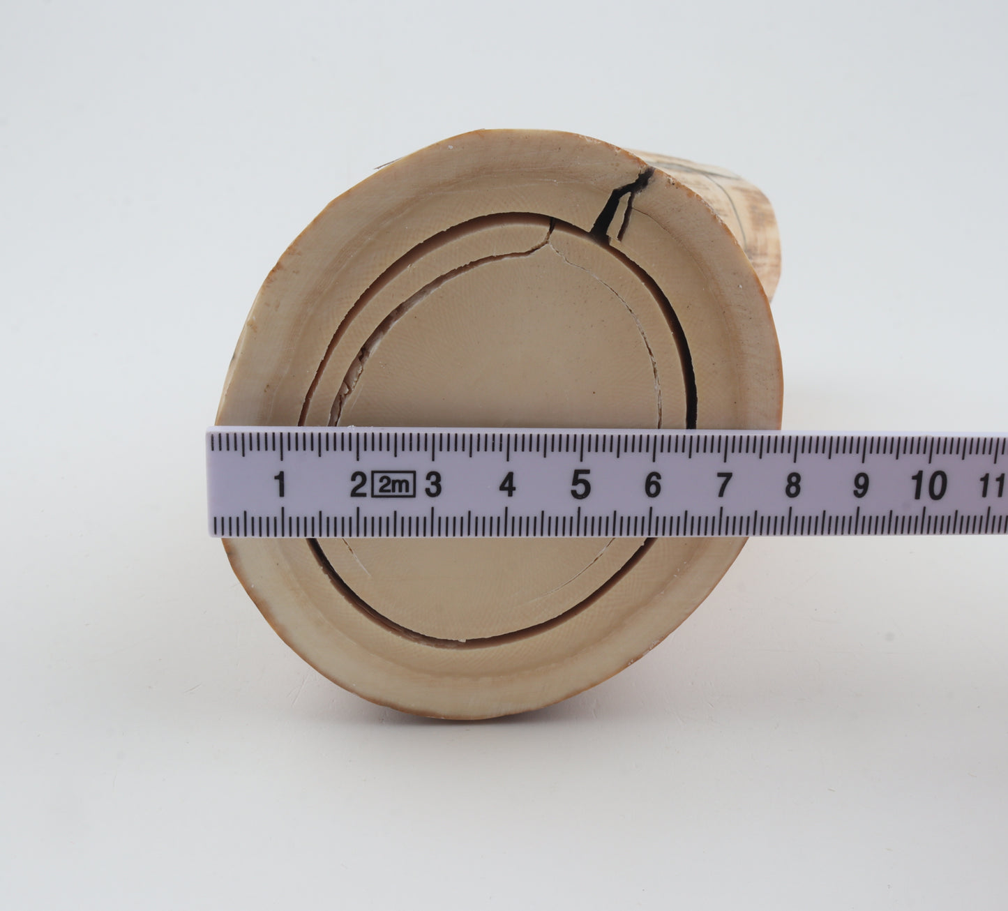 Round woolly mammoth tusk piece