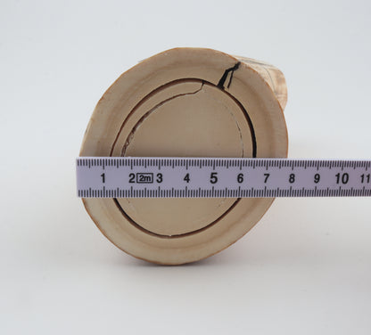 Round woolly mammoth tusk piece