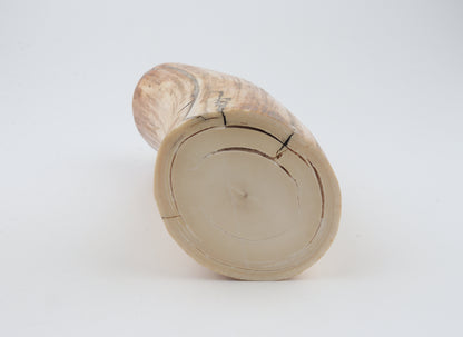 Round woolly mammoth tusk piece