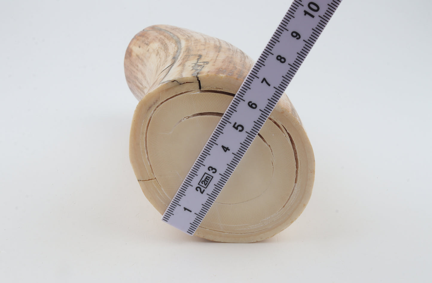 Round woolly mammoth tusk piece