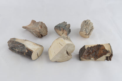 Raw mammoth ivory pieces