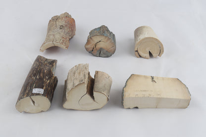Raw mammoth ivory pieces