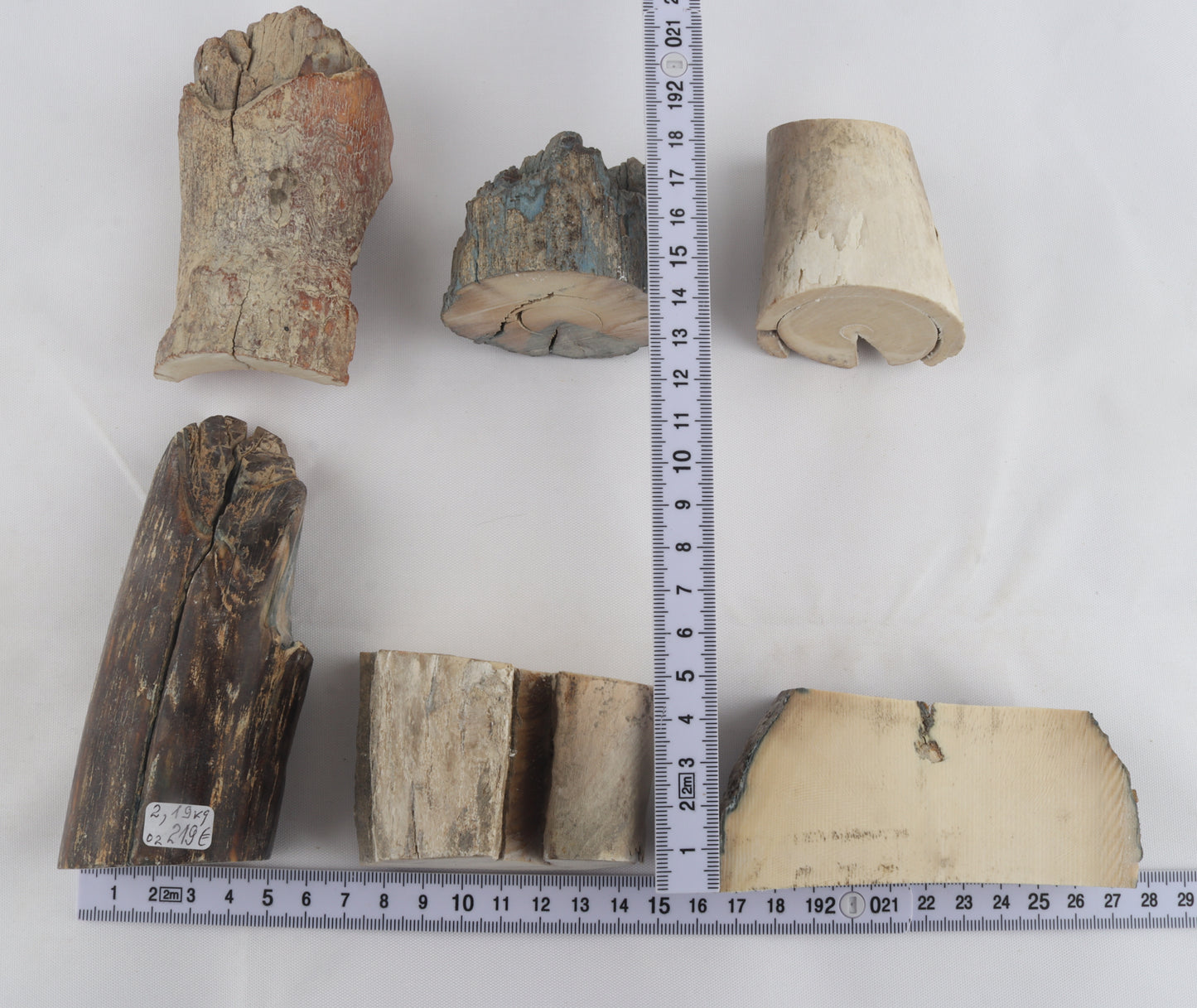 Raw mammoth ivory pieces