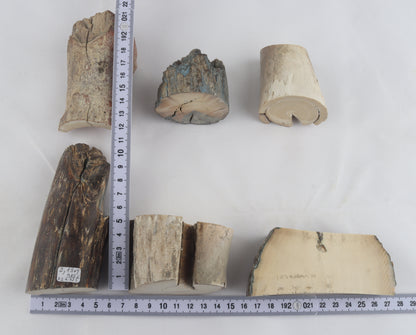 Raw mammoth ivory pieces