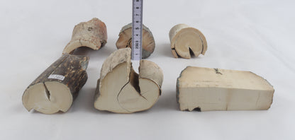Raw mammoth ivory pieces
