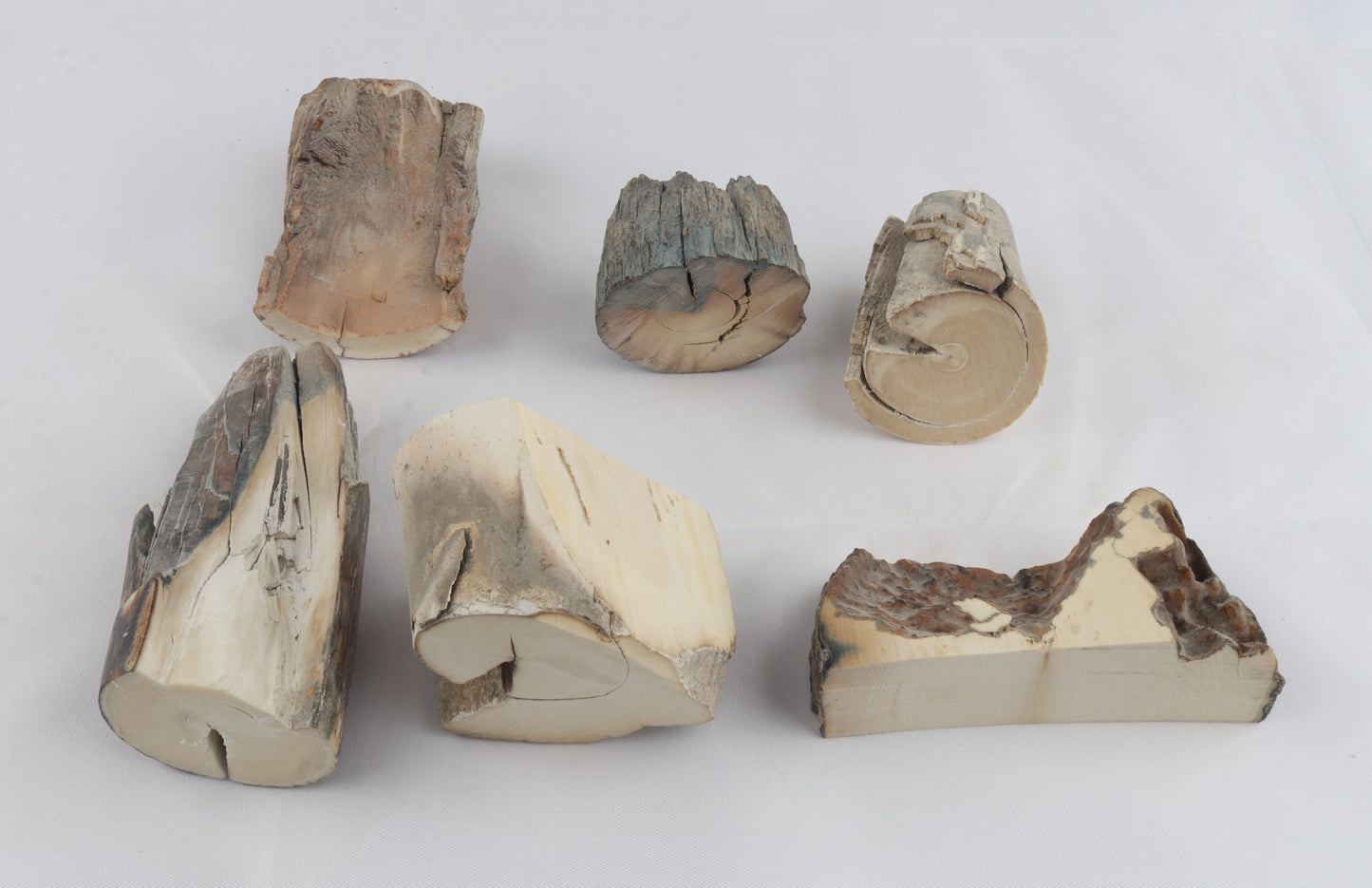 Raw mammoth ivory pieces