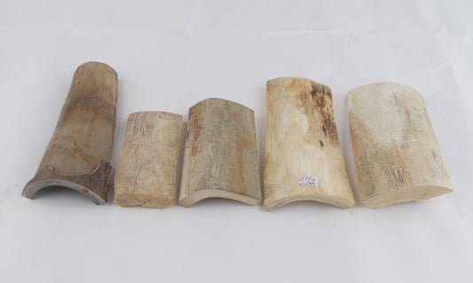 Untreated mammoth ivory pieces