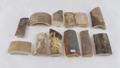 Raw mammoth bark pieces