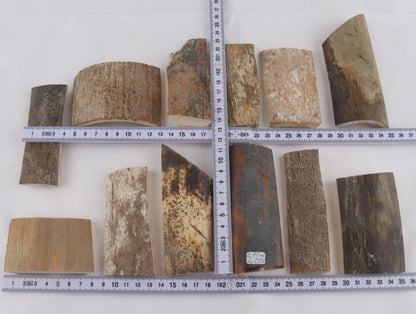 Raw mammoth bark pieces