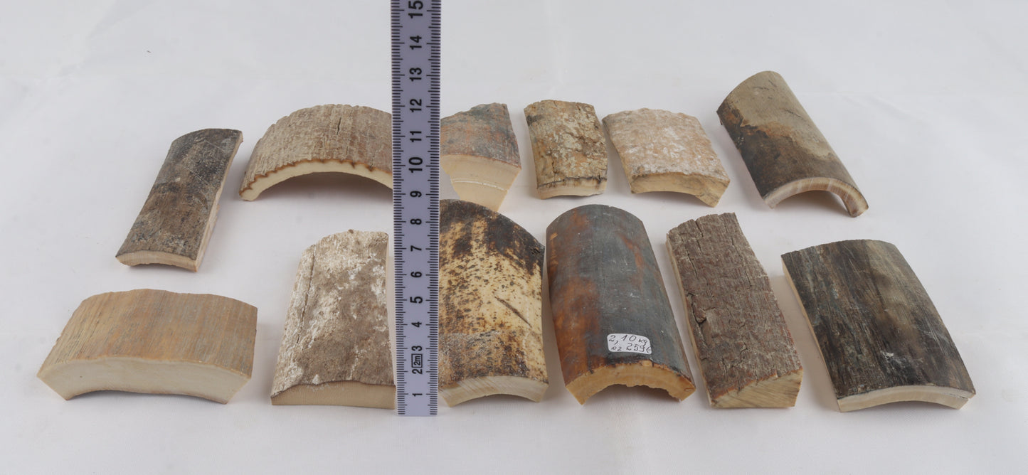 Raw mammoth bark pieces