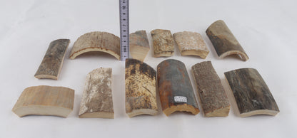 Raw mammoth bark pieces