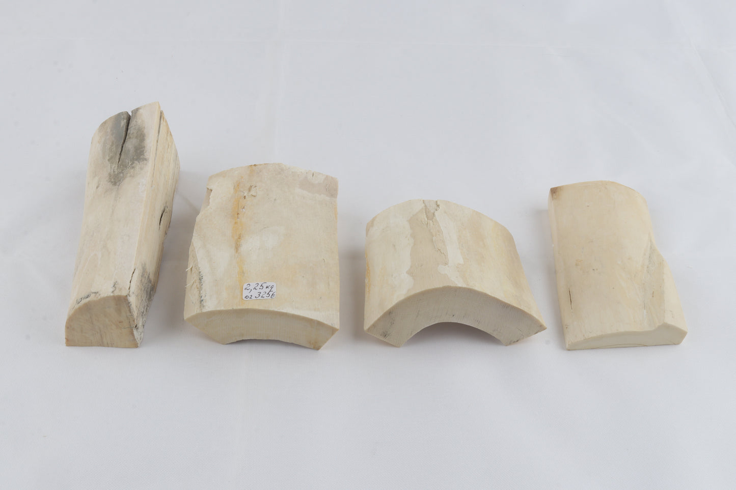 Raw white mammoth ivory pieces