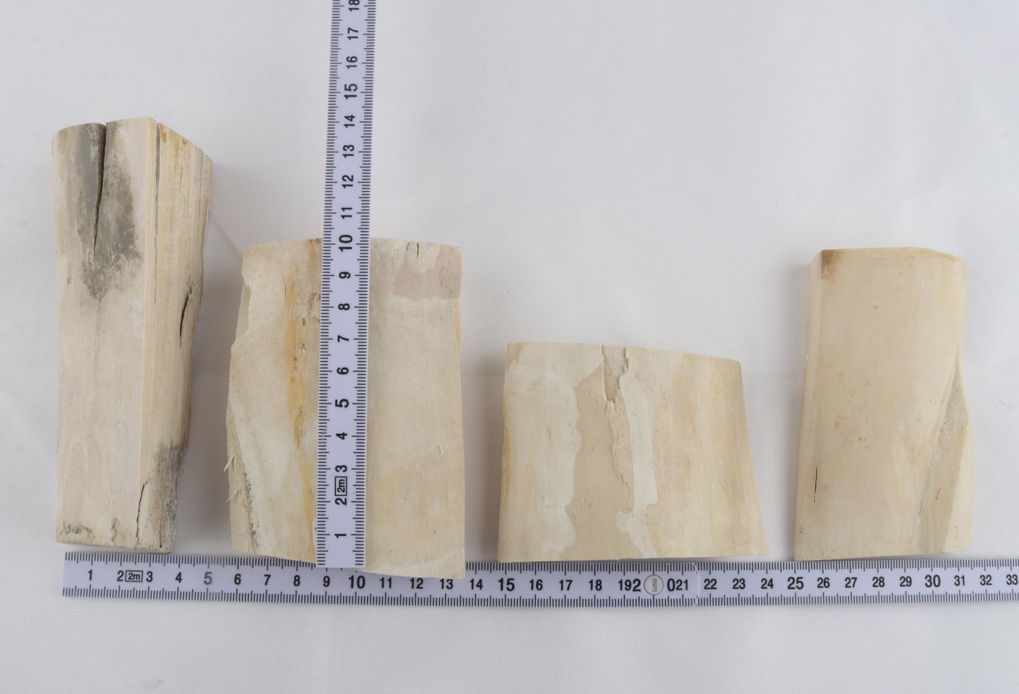 Raw white mammoth ivory pieces