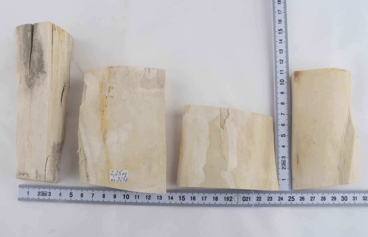 Raw white mammoth ivory pieces