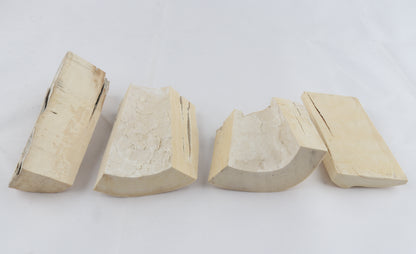 Raw white mammoth ivory pieces
