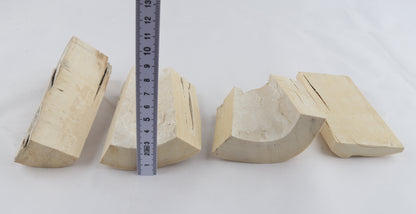 Raw white mammoth ivory pieces