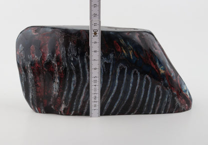 Stabilized mammoth molar