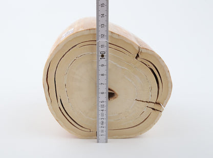 Round mammoth tusk piece