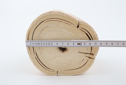 Round mammoth tusk piece