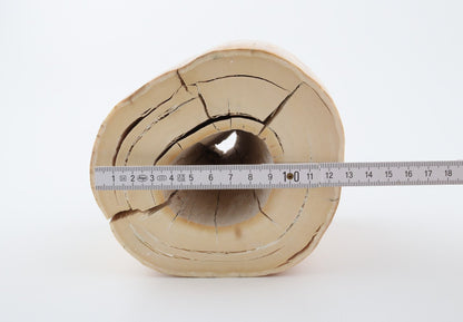Round mammoth tusk piece
