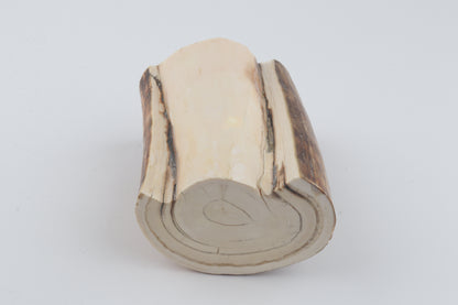 Round natural mammoth tusk piece