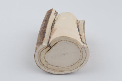 Round natural mammoth tusk piece