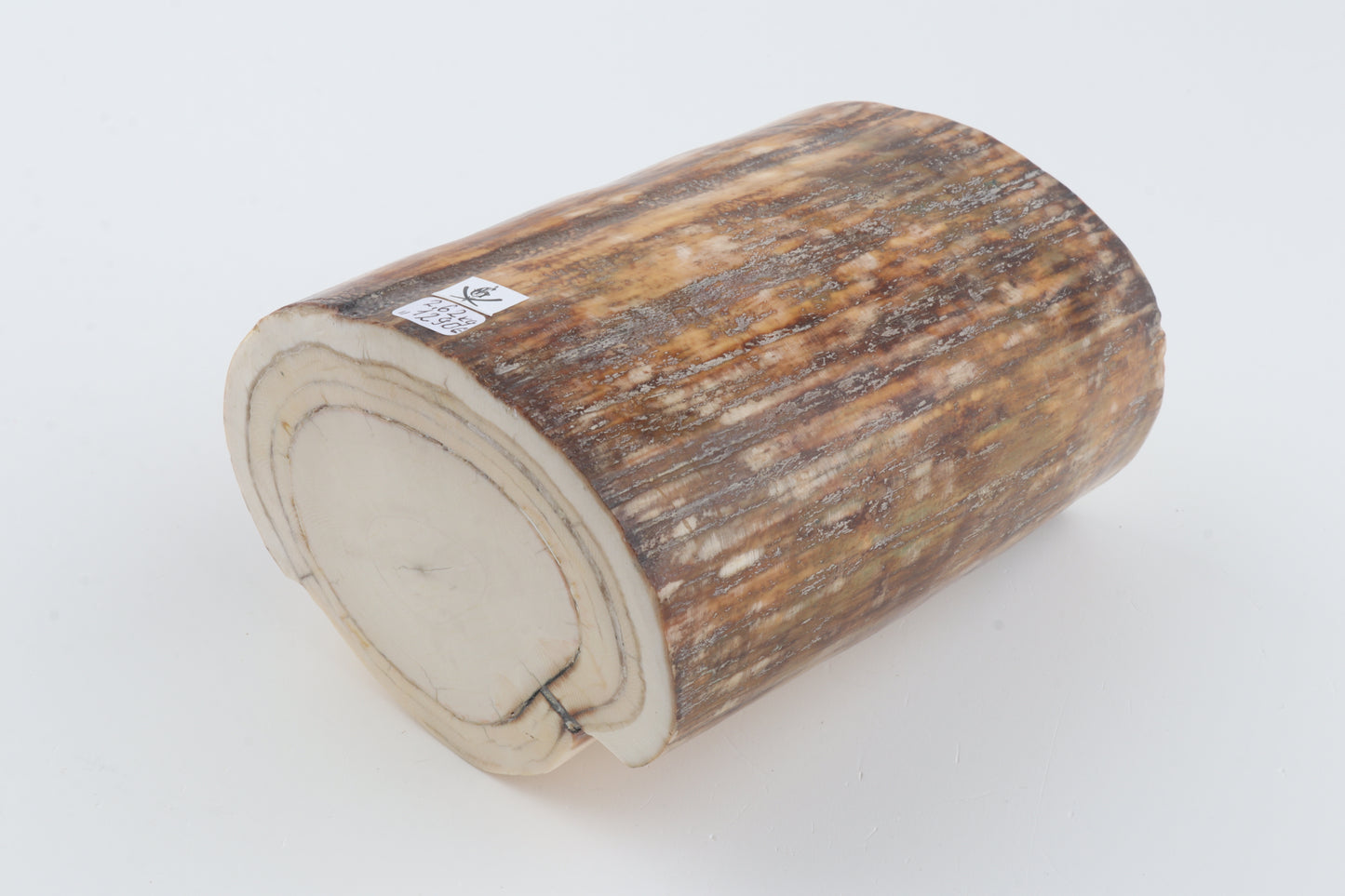 Round natural mammoth tusk piece