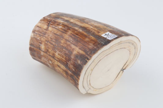 Round natural mammoth tusk piece
