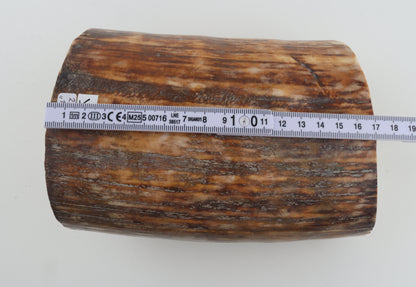 Round natural mammoth tusk piece