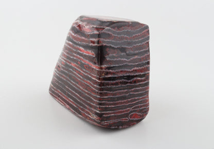 Stabilised mammoth molar