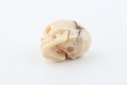 Hand-carved mammoth ivory skull