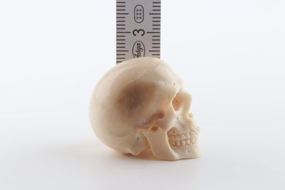 Hand-carved mammoth ivory skull