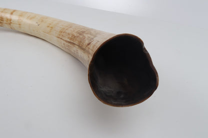 Natural mammoth tusk