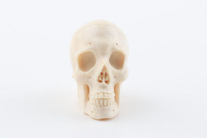 Hand carved mammoth ivory skull