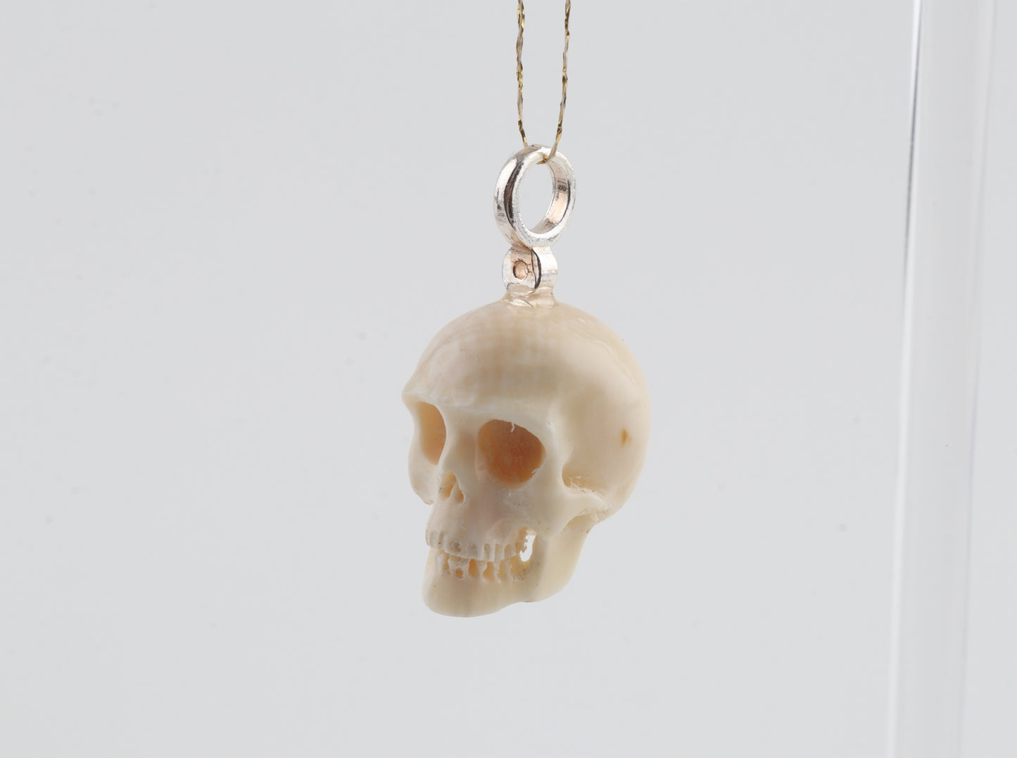 Mammoth Ivory Skull Pendant