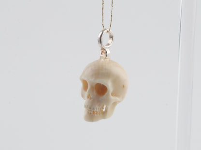 Mammoth Ivory Skull Pendant