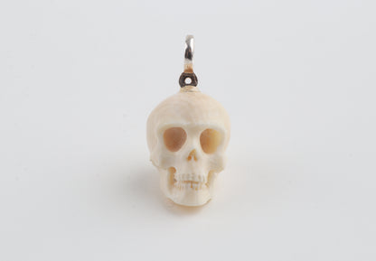 Mammoth Ivory Skull Pendant