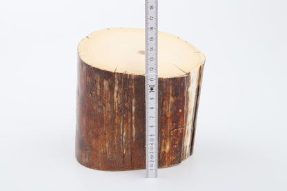 Natural mammoth ivory piece