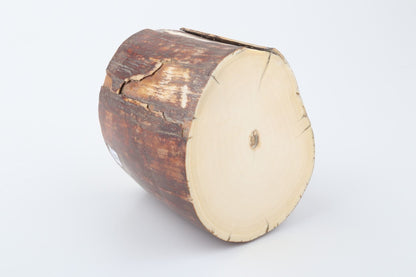 Natural mammoth ivory piece